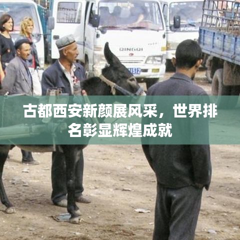 古都西安新颜展风采，世界排名彰显辉煌成就