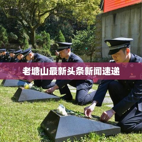 老塘山最新头条新闻速递