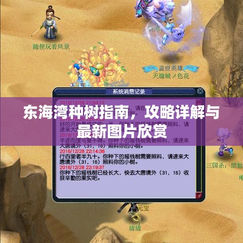 东海湾种树指南，攻略详解与最新图片欣赏