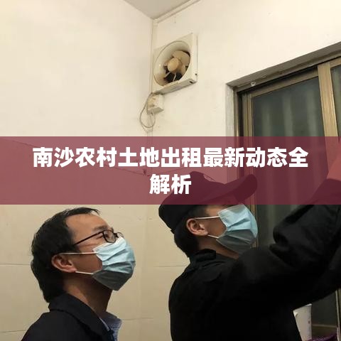 南沙农村土地出租最新动态全解析