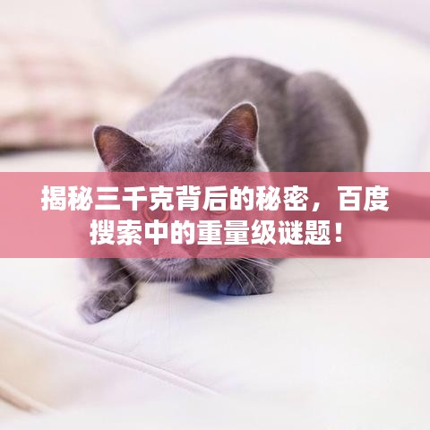 揭秘三千克背后的秘密，百度搜索中的重量级谜题！
