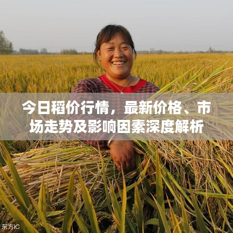 课程中心 第6页