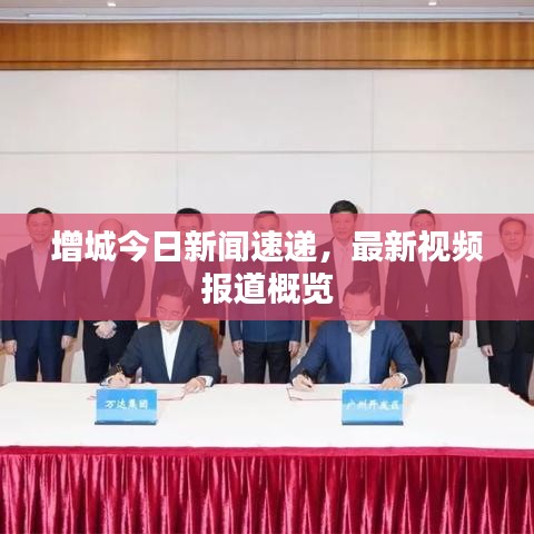 增城今日新闻速递，最新视频报道概览