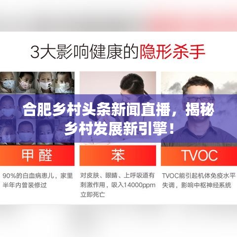 合肥乡村头条新闻直播，揭秘乡村发展新引擎！