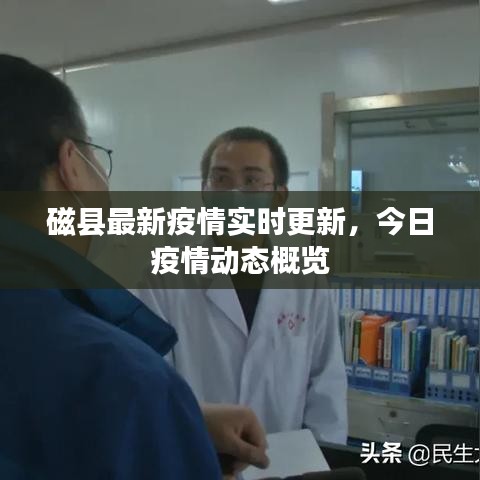 磁县最新疫情实时更新，今日疫情动态概览