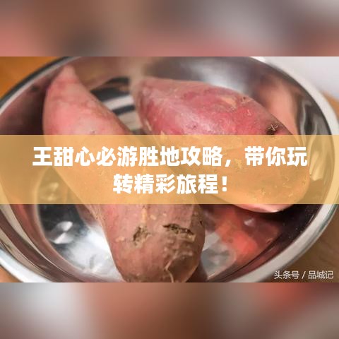 王甜心必游胜地攻略，带你玩转精彩旅程！