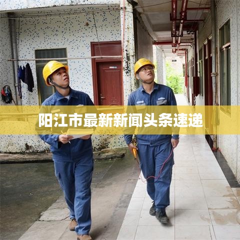 阳江市最新新闻头条速递