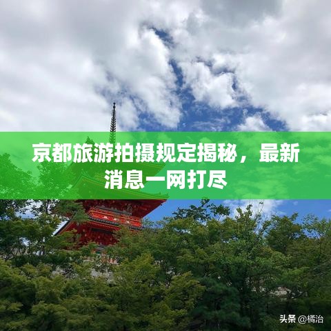 京都旅游拍摄规定揭秘，最新消息一网打尽
