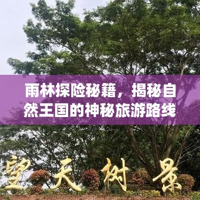 雨林探险秘籍，揭秘自然王国的神秘旅游路线攻略