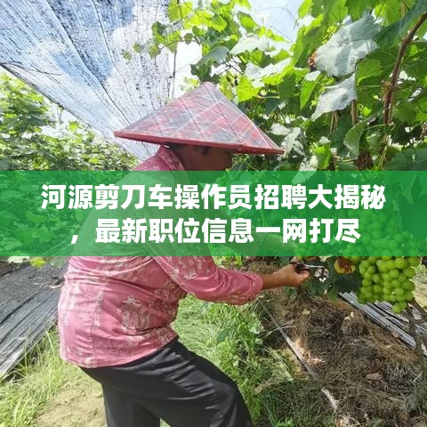 河源剪刀车操作员招聘大揭秘，最新职位信息一网打尽