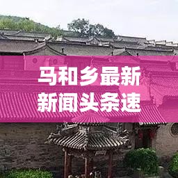 走马观花