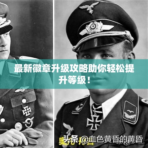 最新徽章升级攻略助你轻松提升等级！