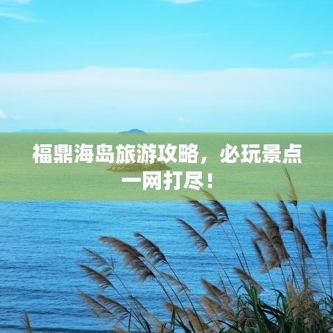 祖道供张
