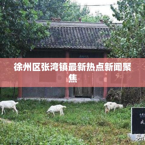 徐州区张湾镇最新热点新闻聚焦
