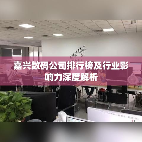 嘉兴数码公司排行榜及行业影响力深度解析