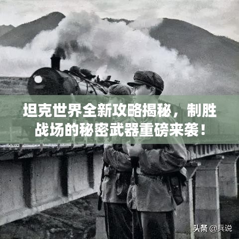 成功案例 第4页