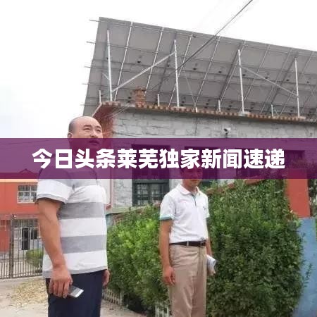 今日头条莱芜独家新闻速递