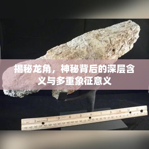 揭秘龙角，神秘背后的深层含义与多重象征意义