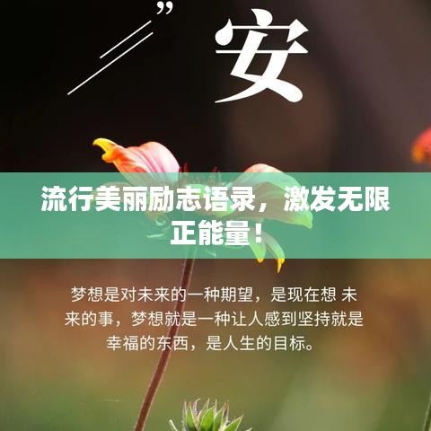 流行美丽励志语录，激发无限正能量！