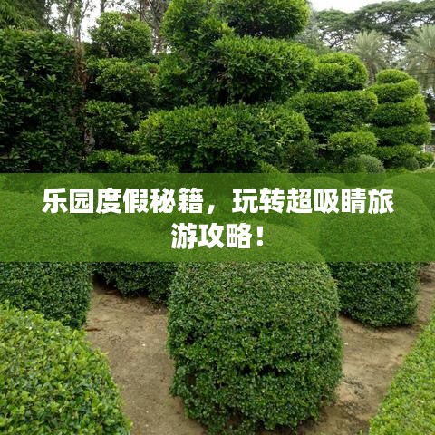 乐园度假秘籍，玩转超吸睛旅游攻略！