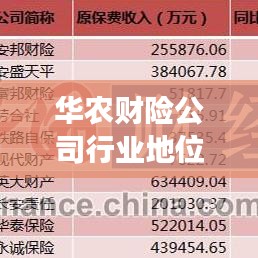 华农财险公司行业地位深度解析，排名背后的故事与启示