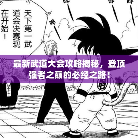 最新武道大会攻略揭秘，登顶强者之巅的必经之路！