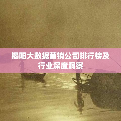 揭阳大数据营销公司排行榜及行业深度洞察