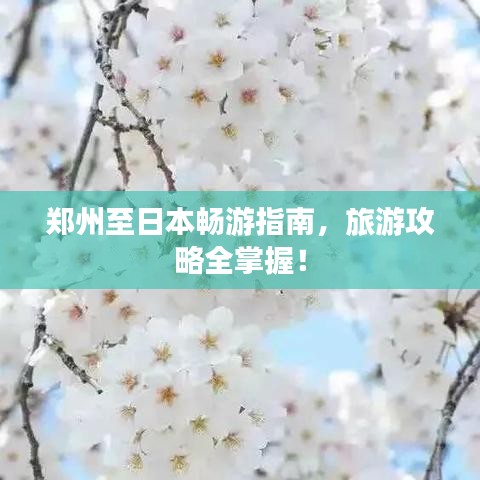 郑州至日本畅游指南，旅游攻略全掌握！
