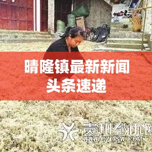 晴隆镇最新新闻头条速递