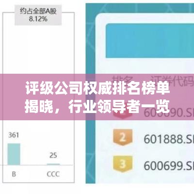 评级公司权威排名榜单揭晓，行业领导者一览无余