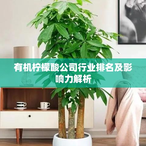 有机柠檬酸公司行业排名及影响力解析