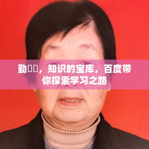 勤學網，知识的宝库，百度带你探索学习之路