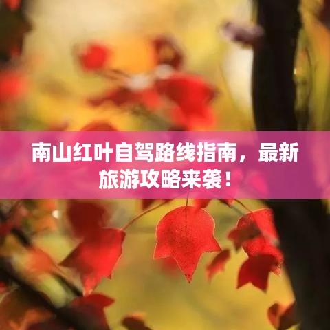 南山红叶自驾路线指南，最新旅游攻略来袭！