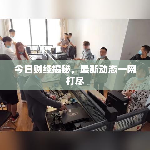 今日财经揭秘，最新动态一网打尽