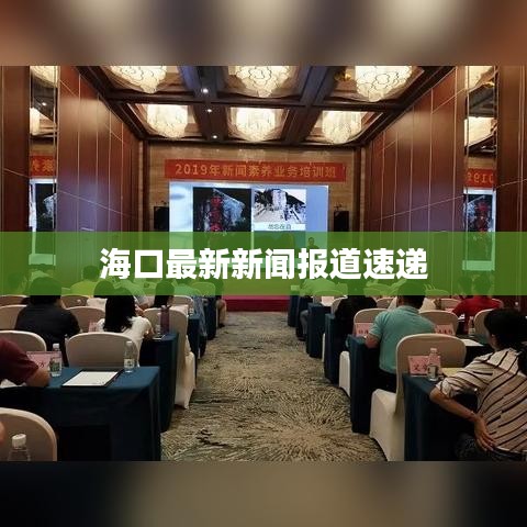 海口最新新闻报道速递