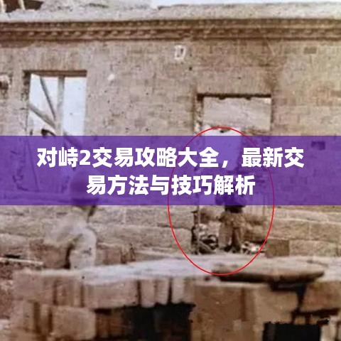 对峙2交易攻略大全，最新交易方法与技巧解析