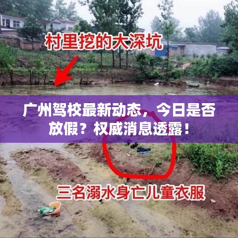 广州驾校最新动态，今日是否放假？权威消息透露！