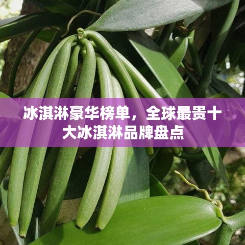冰淇淋豪华榜单，全球最贵十大冰淇淋品牌盘点