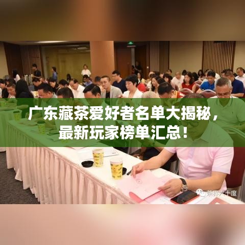 广东藏茶爱好者名单大揭秘，最新玩家榜单汇总！