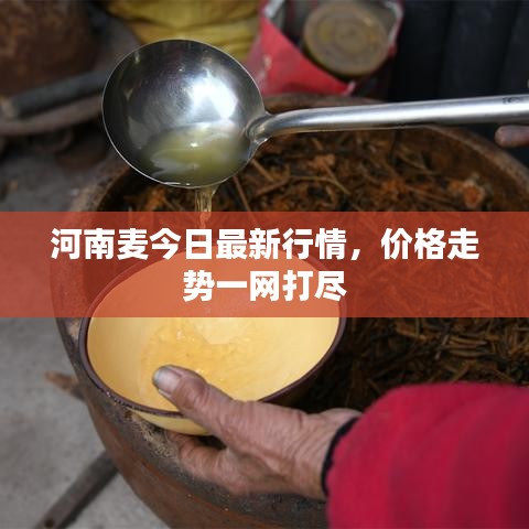 家长课堂