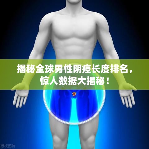 揭秘全球男性阴痉长度排名，惊人数据大揭秘！