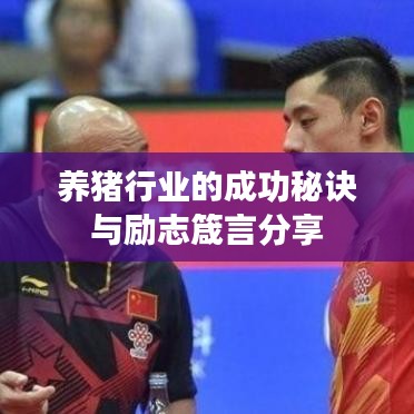 养猪行业的成功秘诀与励志箴言分享