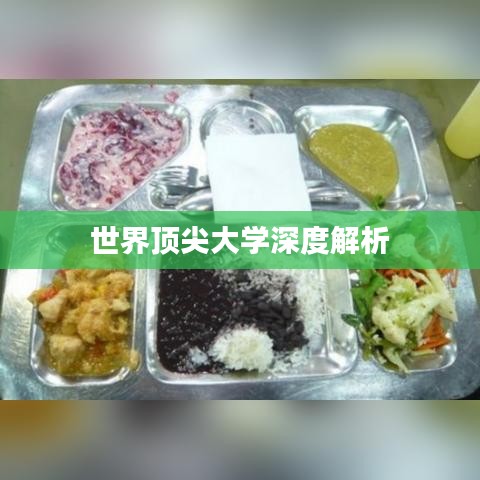 世界顶尖大学深度解析