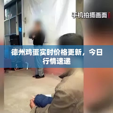 德州鸡蛋实时价格更新，今日行情速递