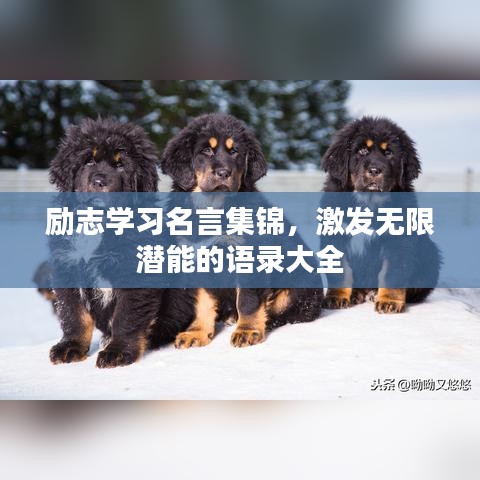 励志学习名言集锦，激发无限潜能的语录大全