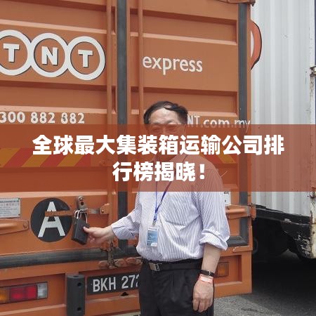 全球最大集装箱运输公司排行榜揭晓！