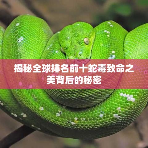 揭秘全球排名前十蛇毒致命之美背后的秘密