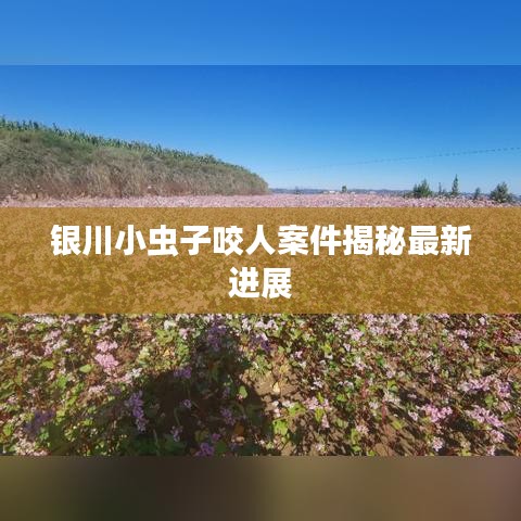 银川小虫子咬人案件揭秘最新进展
