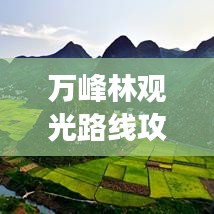 万峰林观光路线攻略，最新指南带你畅游美景