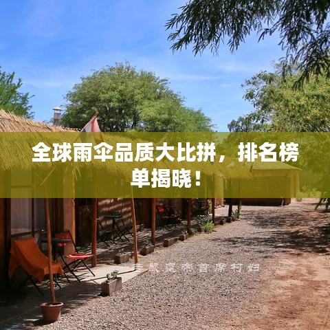 全球雨伞品质大比拼，排名榜单揭晓！